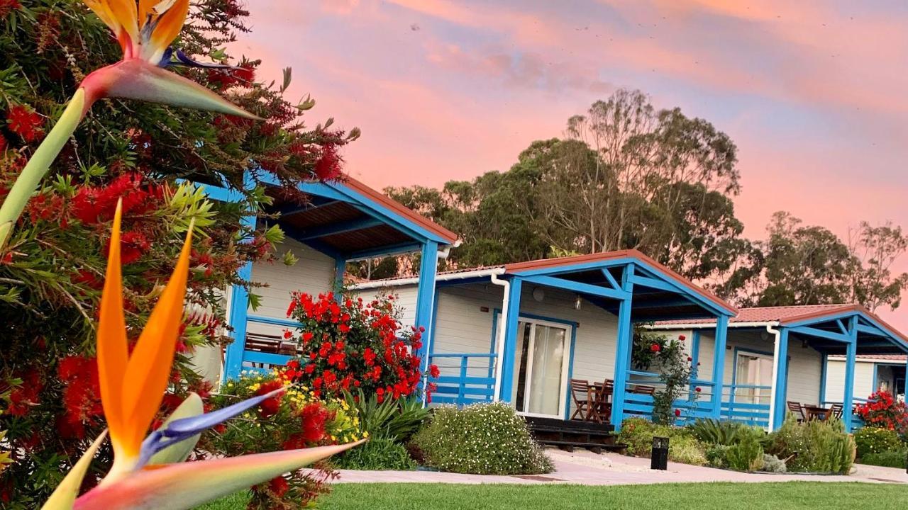 Costa Do Vizir Beach Village Porto Covo Exteriör bild